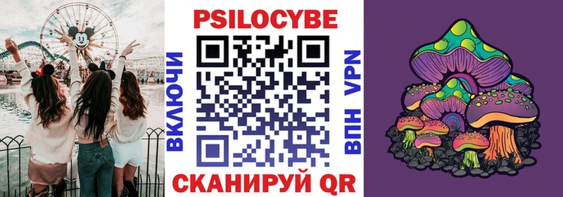 Псилоцибиновые грибы мицелий  Камень-на-Оби 