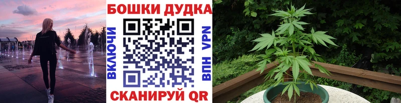 Шишки марихуана тримм  блэк спрут   Камень-на-Оби 